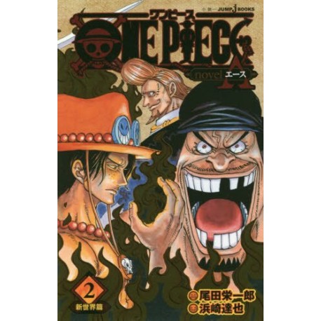 One Piece Roman - Novel A 2r