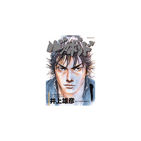 Vagabond 1
