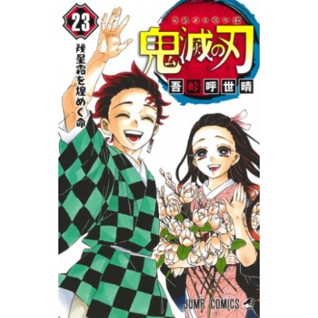 Kimetsu no Yaiba 23