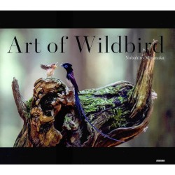 Art of Wildbird