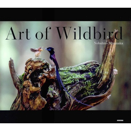 Art of Wildbird