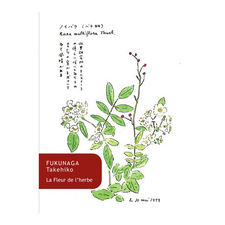 La fleur de l'herbe
