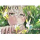 Romeo Colors