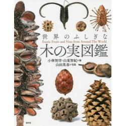 Exotic Fruits and Nuts from Around The World