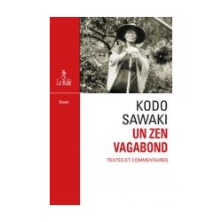 Kado Sawaki, un zen vagabond