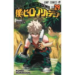 My Hero Academia 29